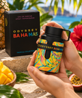 PERFUME ARMAF ODYSSEY  BAHAMAS 100ML EDP ORIGINAL