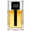 PERFUME DIOR HOMME 100ML EDT ORIGINAL